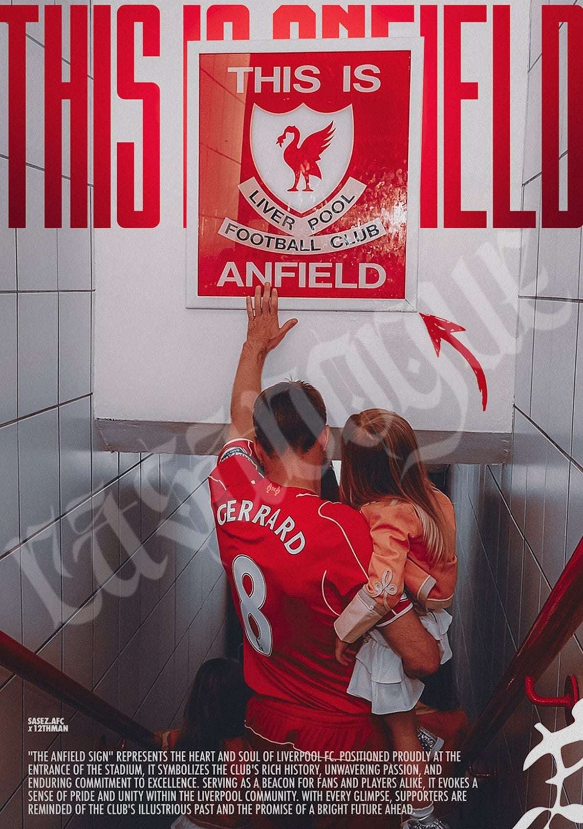STEVEN GERRARD