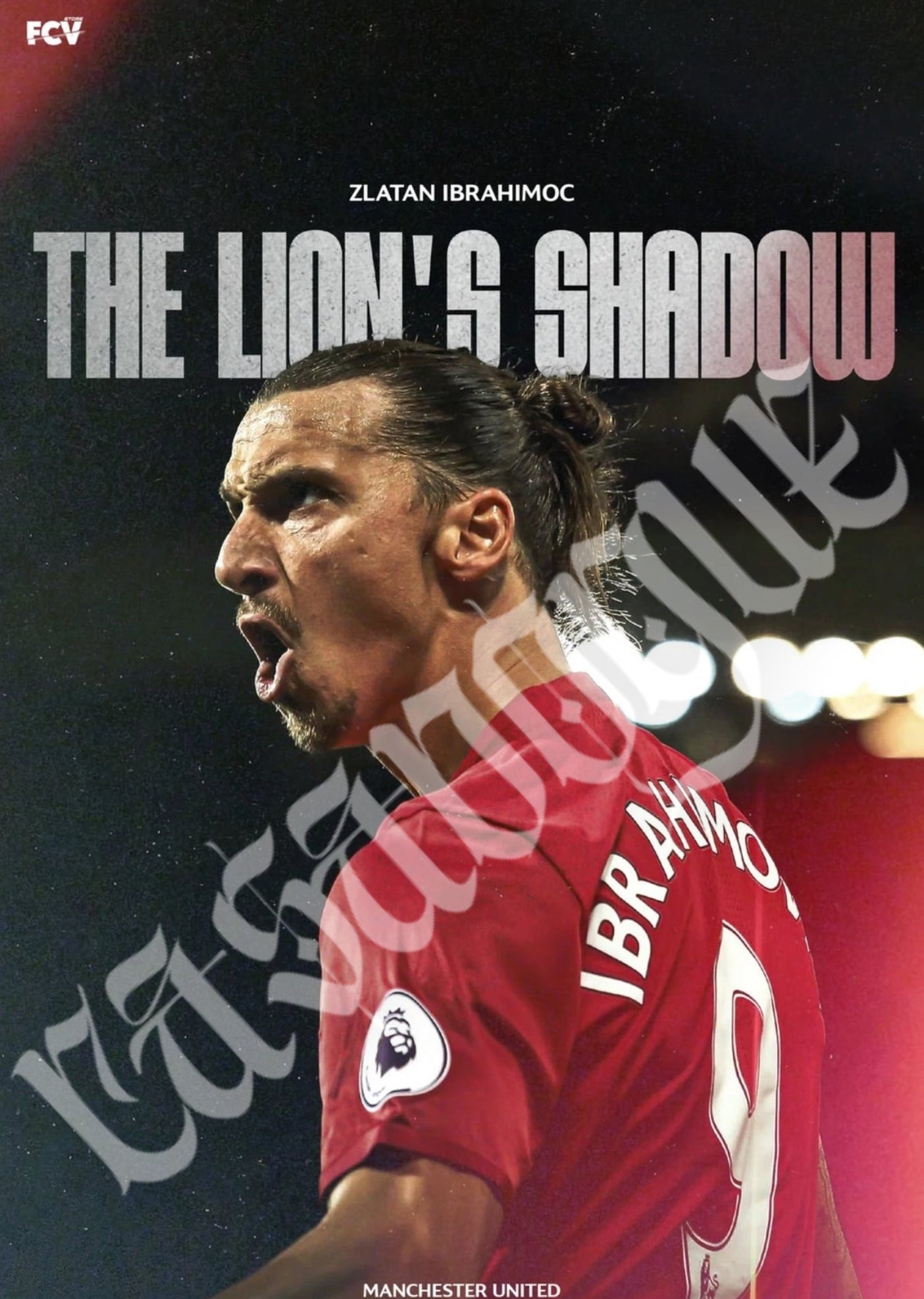 Zlatan ibrahimovic